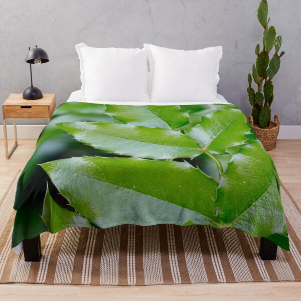Item preview, Ilex leaves of holly plant (Aquifoliales) designed and sold by xP42.