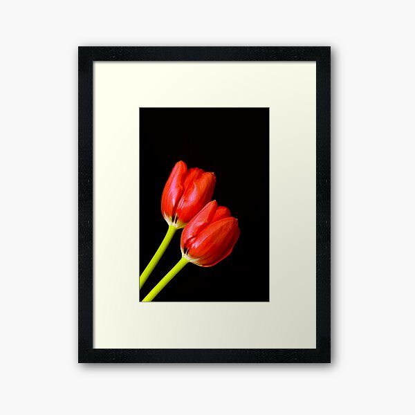 Item preview, Red Tulips designed and sold by Rob  Ford.
