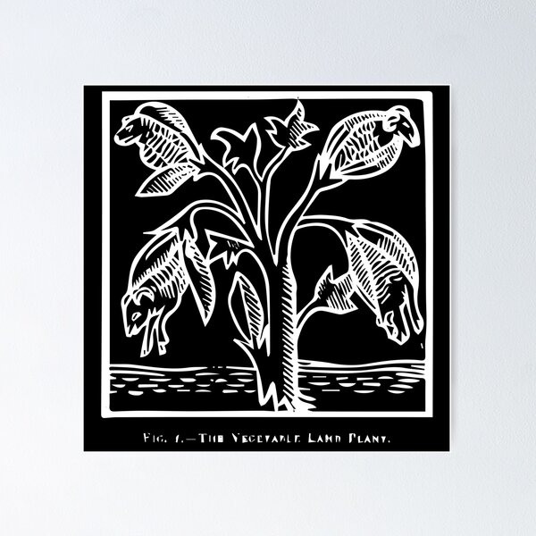 Item preview, OOC - 0002 - Vegetable Lamb of Tartary 2 designed and sold by wetdryvac.