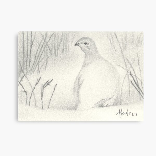 Item preview, ACEO Snow Shadows - Ptarmigan designed and sold by John Houle.