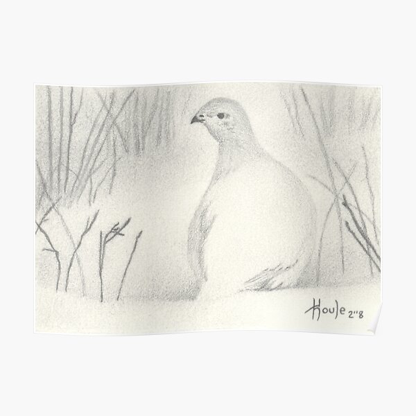 ACEO Snow Shadows - Ptarmigan Poster
