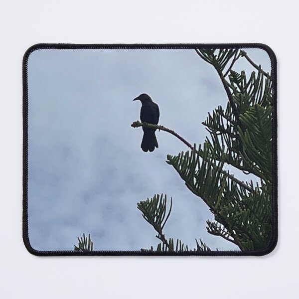 Item preview, Bird in a Tree designed and sold by KazM.