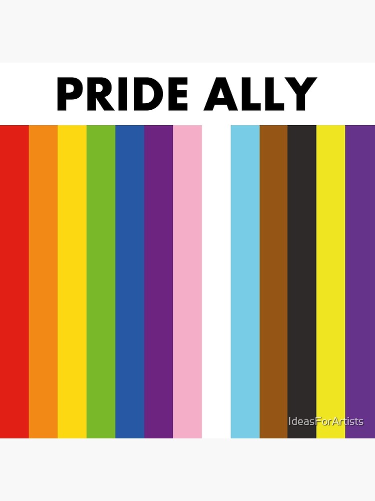 Pride Allyship Gay Pride Ally Inclusive Flag Poster For Sale By Ideasforartists Redbubble 1042