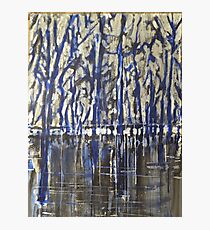 Pond of Boulet Feins Photographic Print