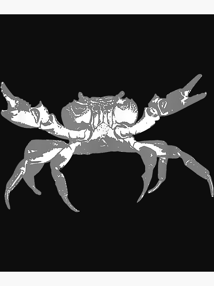 "Crab Holding Claws up on the Beach" Poster for Sale by luciaaljudith