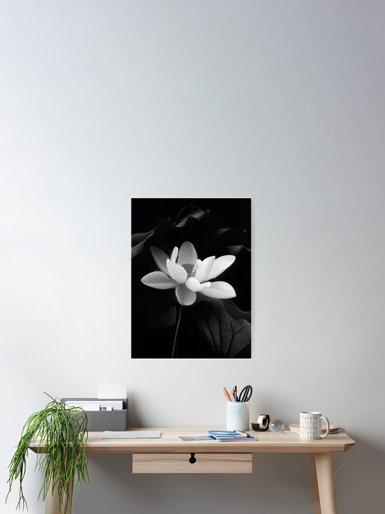 Thumbnail 2 of 3, Poster, Lotus #48 designed and sold by janossison.