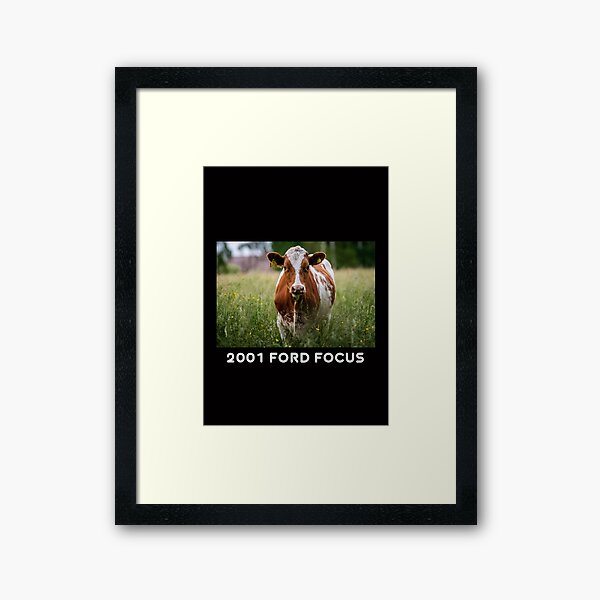Thats Not A Cow That's  A 2001 Ford Focus vers2 Framed Art Print