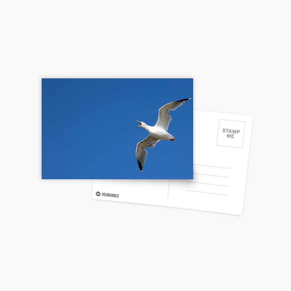 Item preview, Postcard designed and sold by neandercol.