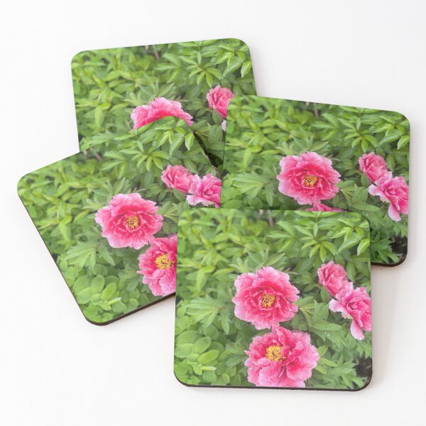 Item preview, Pink and Pretty  designed and sold by NaturebyAdamV.