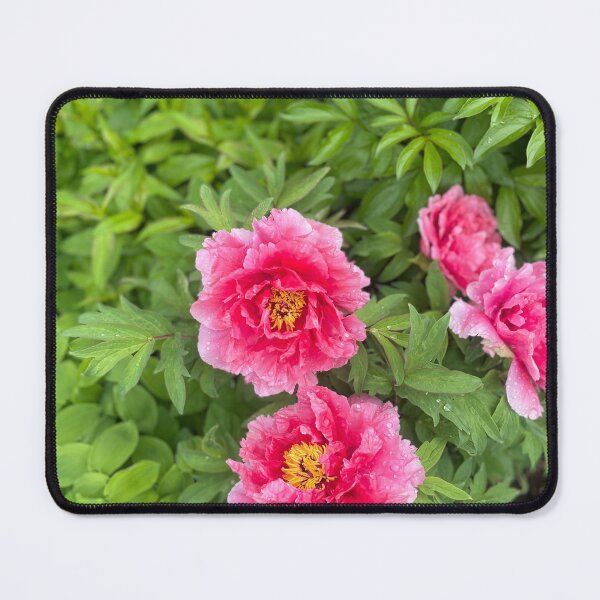 Item preview, Pink and Pretty  designed and sold by NaturebyAdamV.