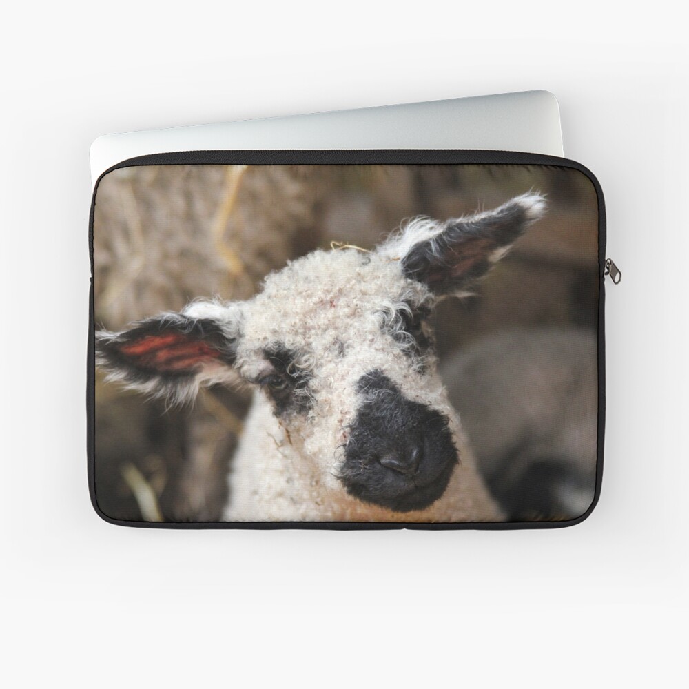 Item preview, Laptop Sleeve designed and sold by neandercol.