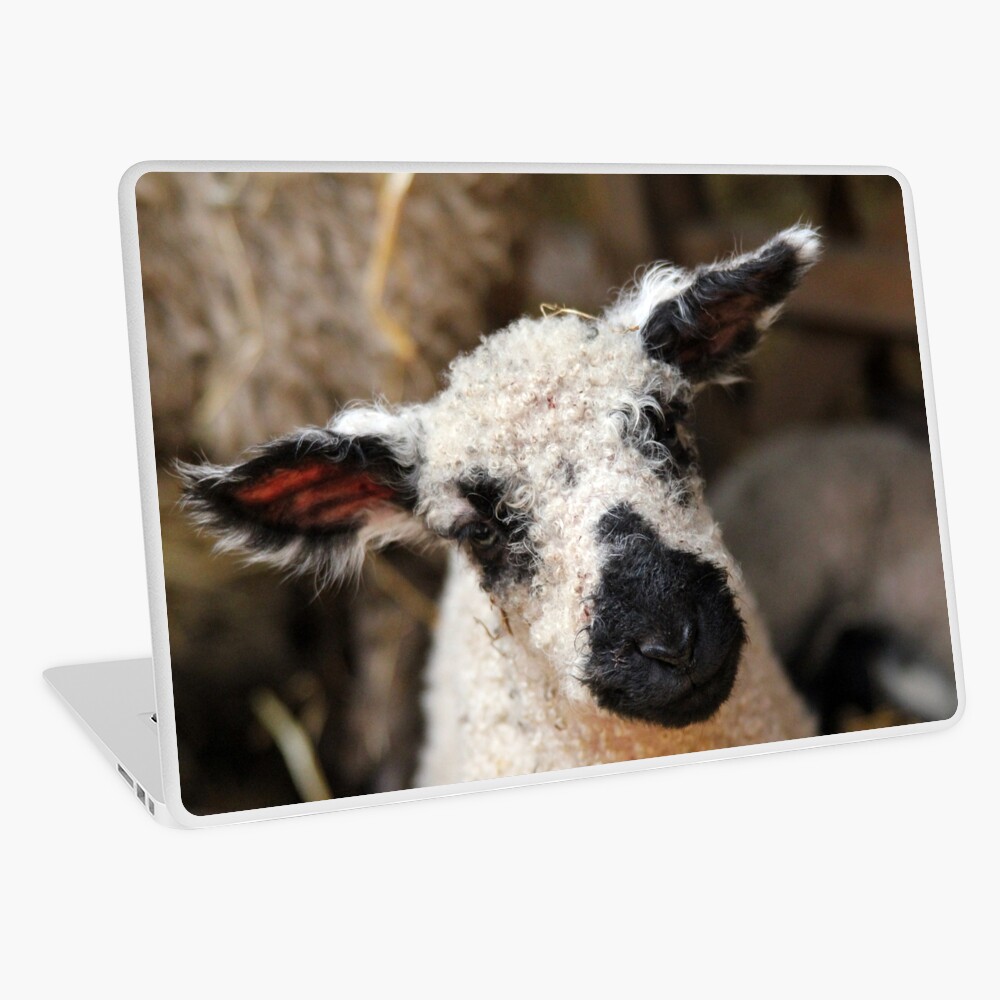 Item preview, Laptop Skin designed and sold by neandercol.