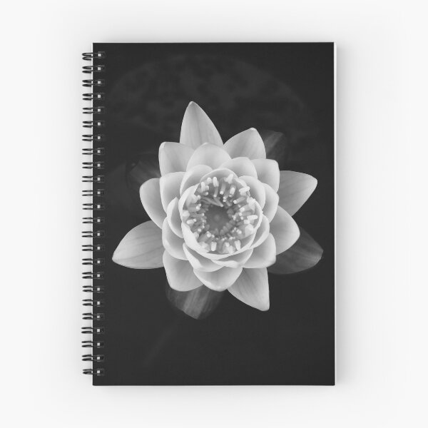 Item preview, White waterlily on black background | Black & White Nature Photography designed and sold by Diana van Neck.