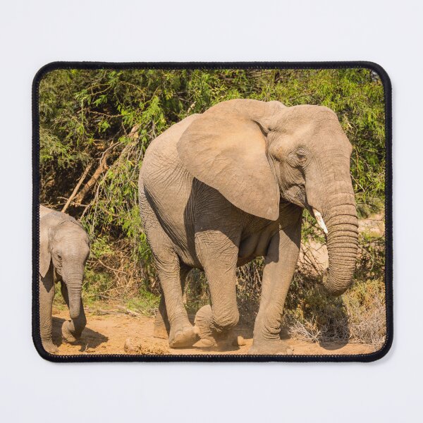 Artikelvorschau, Mutter und Kalb Wüstenelefant entworfen und verkauft von Images by Chris de Blank.