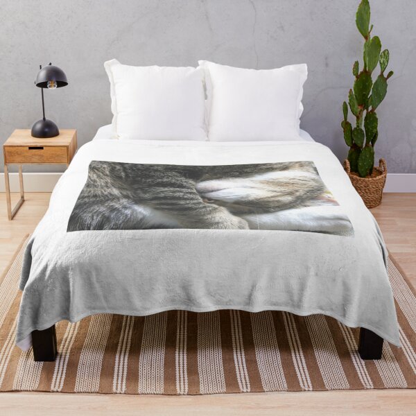 Item preview, Sleeping Funny  designed and sold by stephenralph.