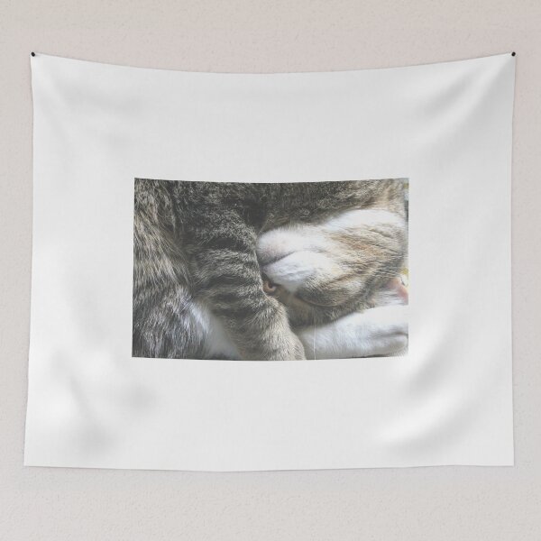 Item preview, Sleeping Funny  designed and sold by stephenralph.