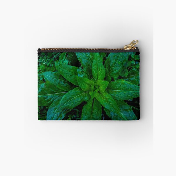 Item preview, West Coast Gardens: Vernal Verdure designed and sold by Chancelrie.
