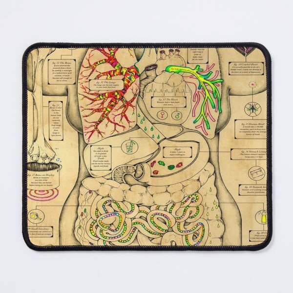 Item preview, Anatomy of the Body designed and sold by Teixeira224.
