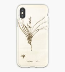Novæ Hollandiæ plantarum specimen Jacques Julien Houton Labillardière 1806 120 iPhone Case