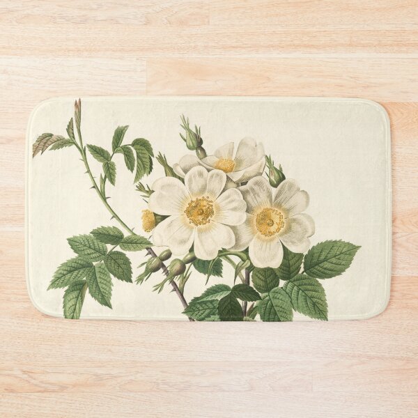 Item preview, Rosa Brevistyla Leucochroa; Rosier a court-style (var a fleurs jaunes et blanches) designed and sold by linggalibrary.