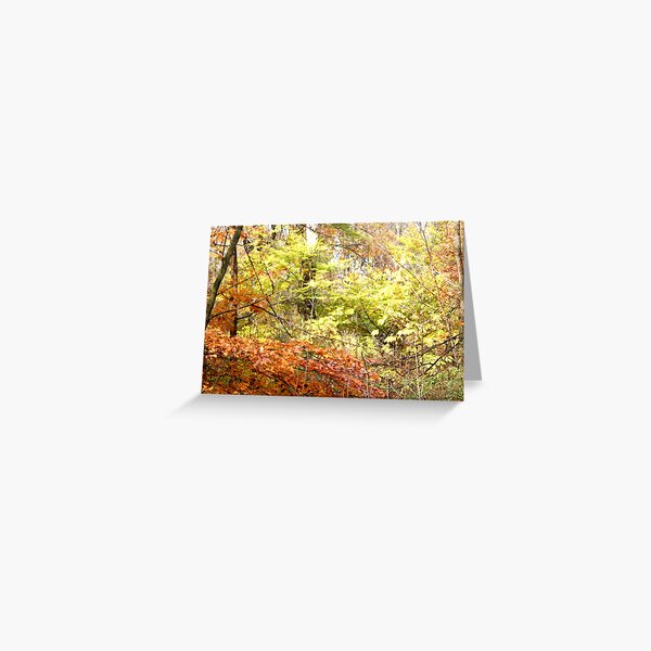 Golden Leaves Greeting Card