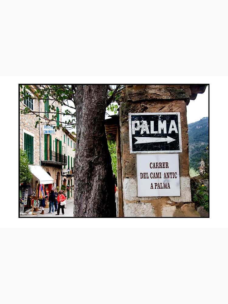 This way to Palma by rogues70