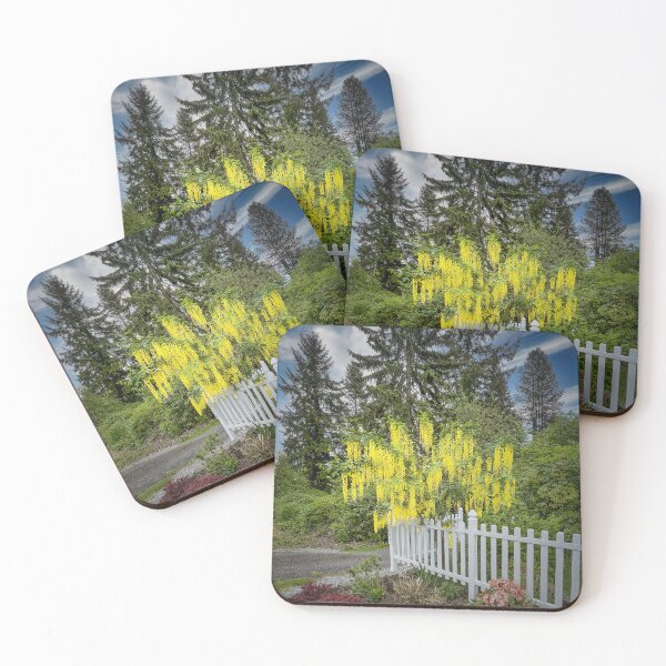 Item preview, Limited Engagement designed and sold by Steve Walser.