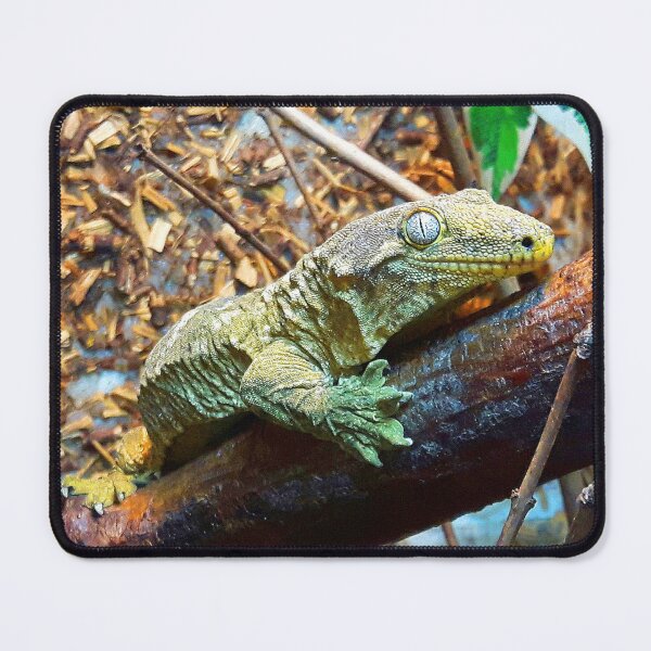 Item preview, Radical Reptile designed and sold by Fearless-Fox.