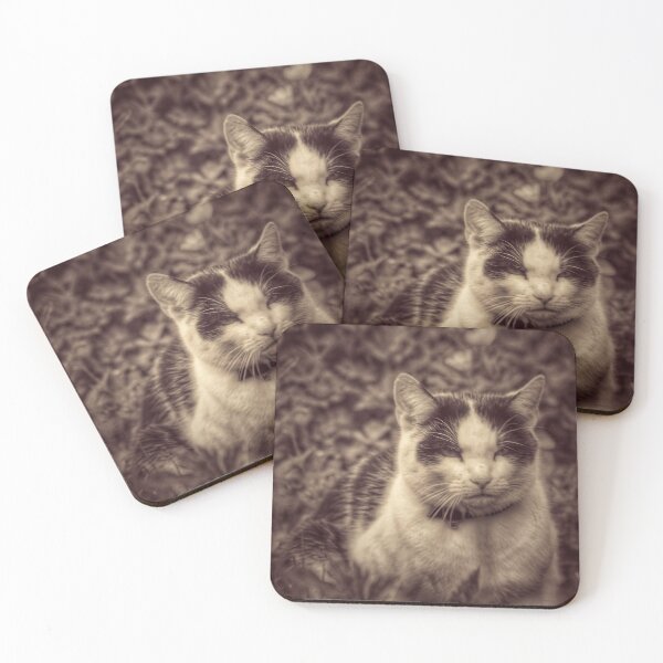 Item preview, Moody moggy designed and sold by gemzy.