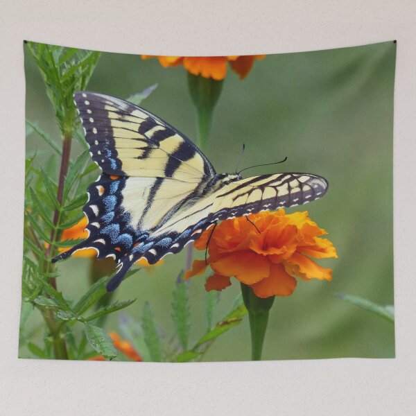 Item preview, Yellow Eastern Tiger Swallowtail designed and sold by Frankie Cat Photography.