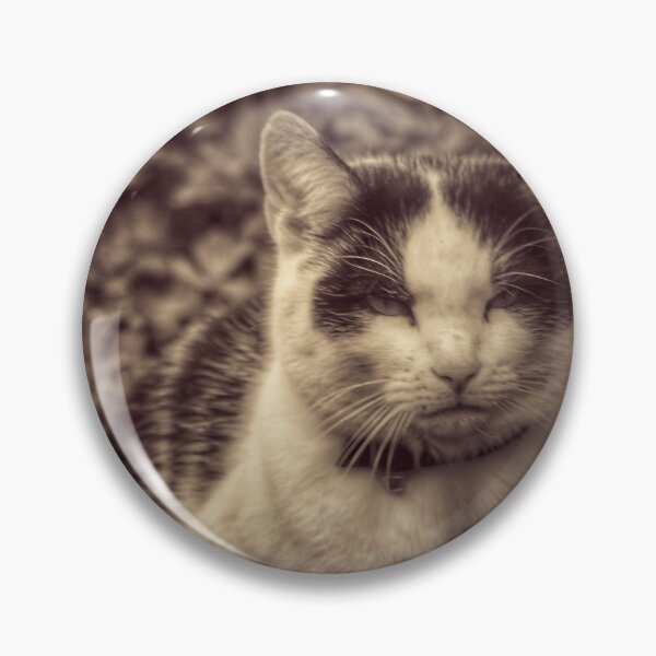 Item preview, Moody moggy designed and sold by gemzy.