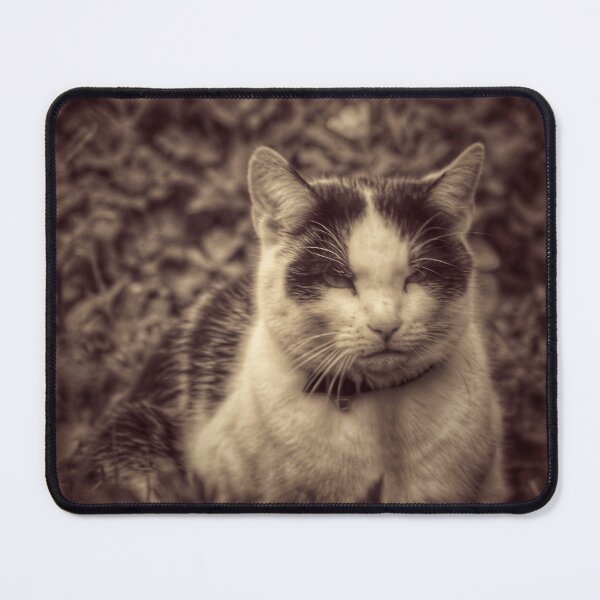 Item preview, Moody moggy designed and sold by gemzy.