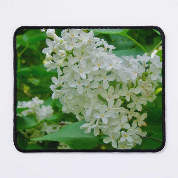 Item preview, White lilac designed and sold by Shulie1.