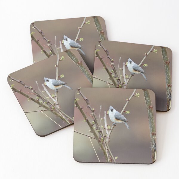 Item preview, Cara a cara con un carbonero copetudo designed and sold by LisaNaturePhoto.