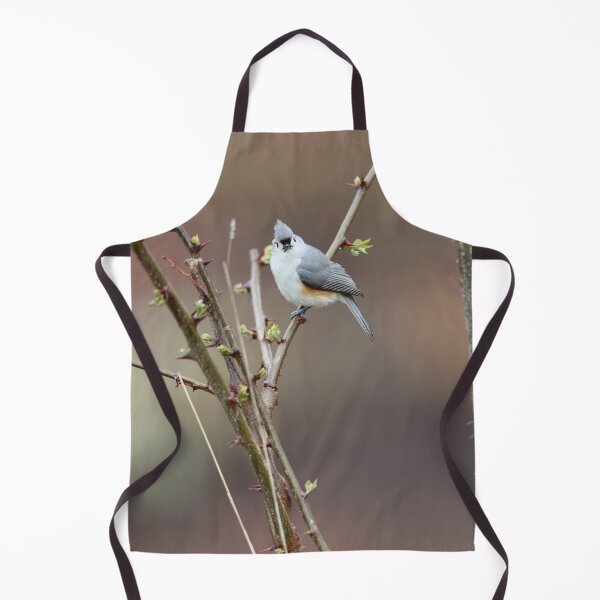 Item preview, Face-to-face with a tufted titmouse designed and sold by LisaNaturePhoto.