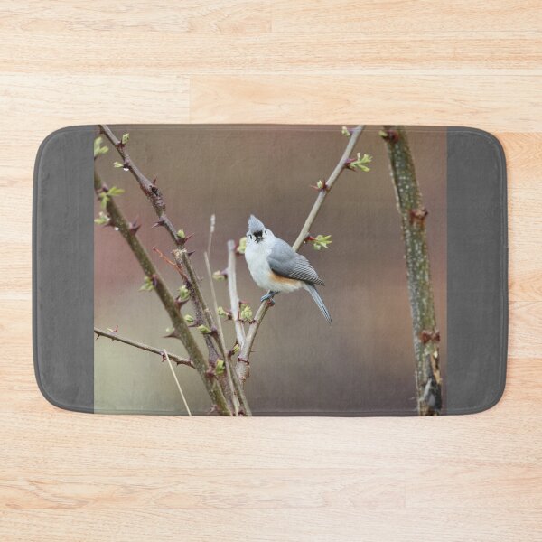 Item preview, Face-to-face with a tufted titmouse designed and sold by LisaNaturePhoto.