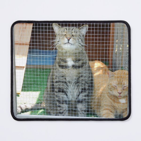 Item preview, the King & Mr. Red designed and sold by Zarabeaver.