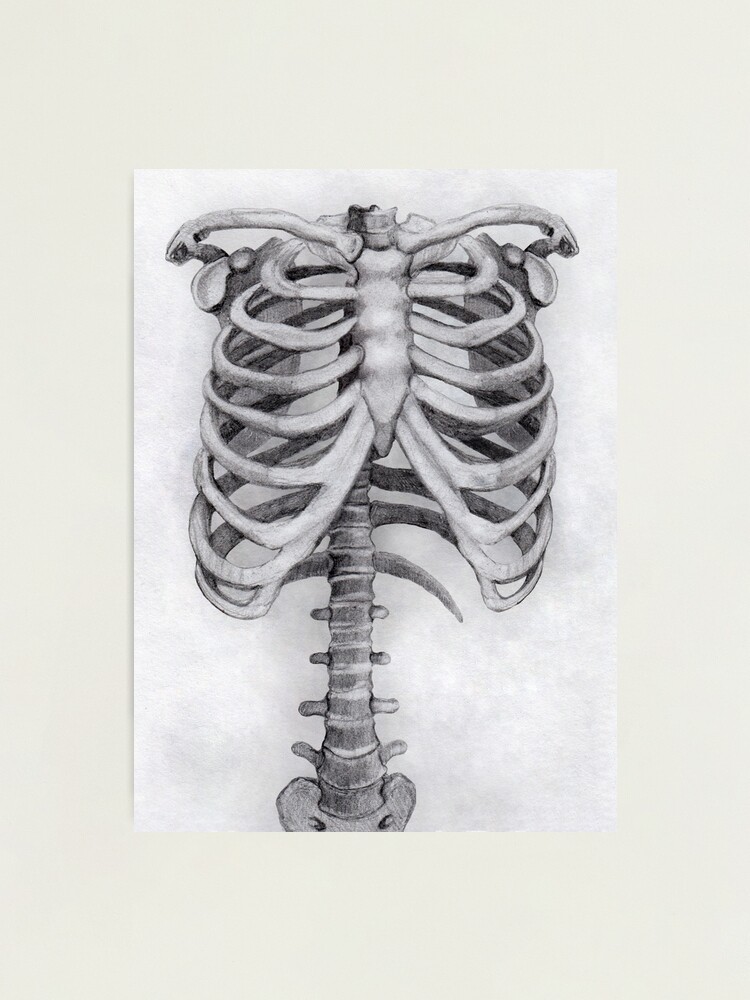 Rib cage Human skeleton Human skull symbolism Tattoo, flame skull,  monochrome, human png | PNGEgg