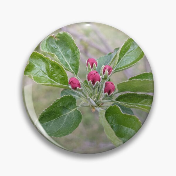 Aperçu de l'œuvre Fleurs d'arbres rouges créée et vendue par AustaArt.