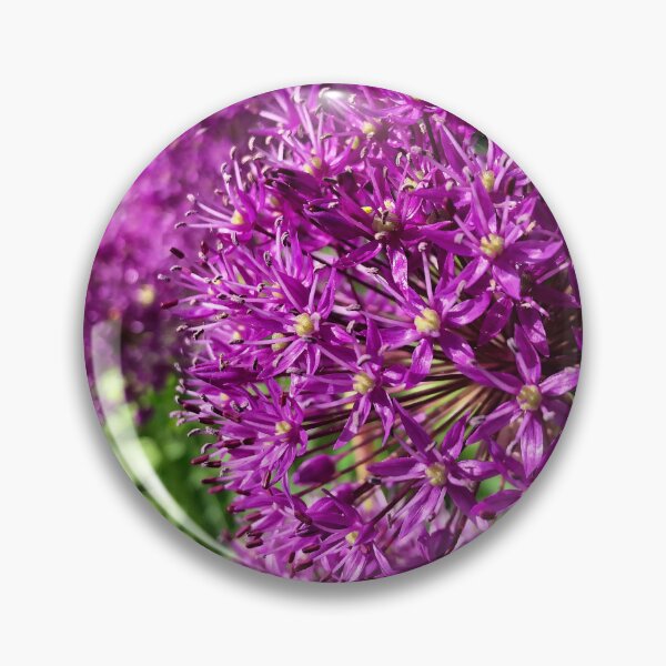 Item preview, Purple Allium designed and sold by Violaman.