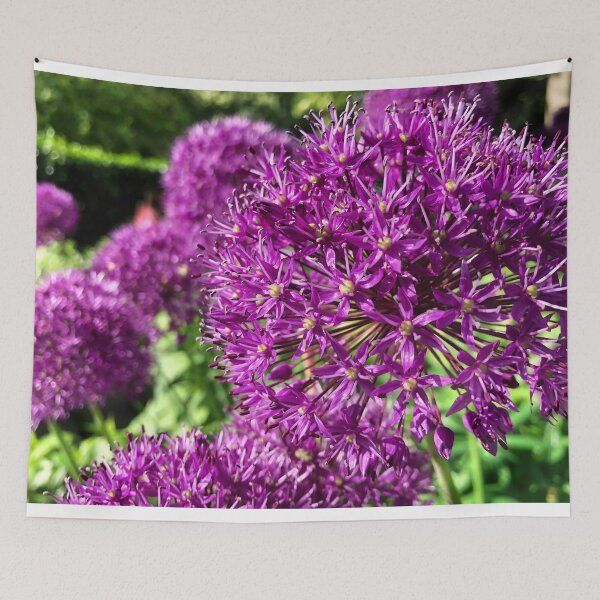 Item preview, Purple Allium designed and sold by Violaman.