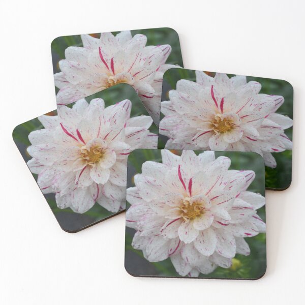 Item preview, Garden dahlia designed and sold by enchantedvibes.