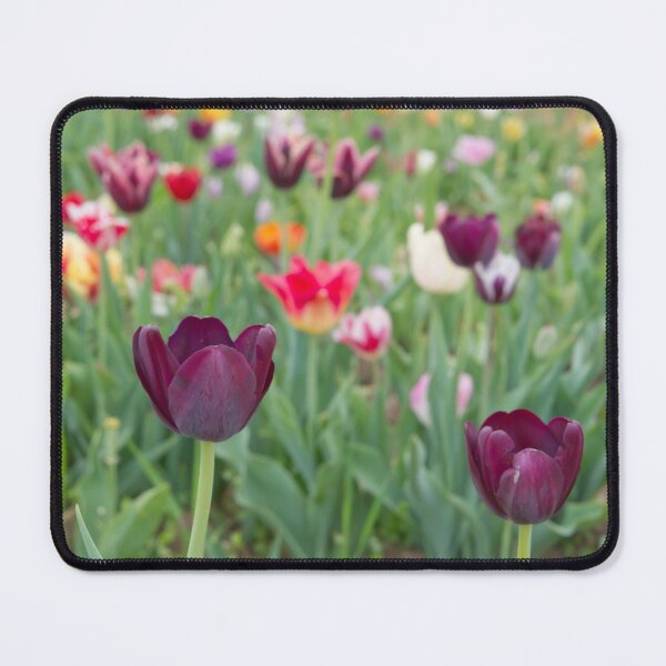 Item preview, Regal designed and sold by Goldenskik.