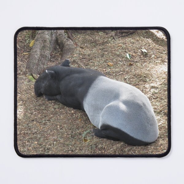 Item preview, Malayan tapir designed and sold by greentiger1.