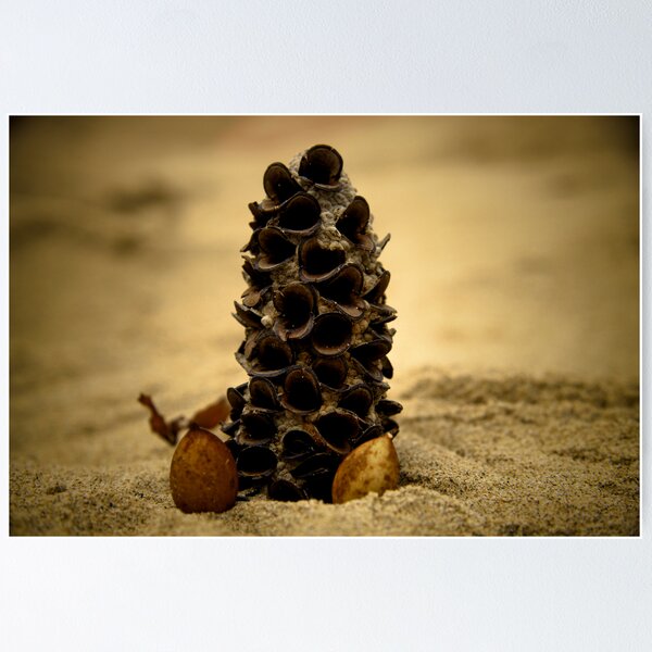 Item preview, brown designed and sold by Kwinn.