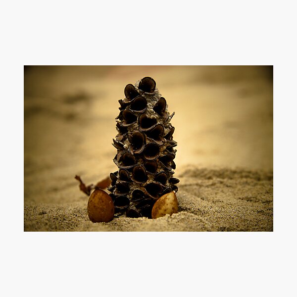 Item preview, brown designed and sold by Kwinn.