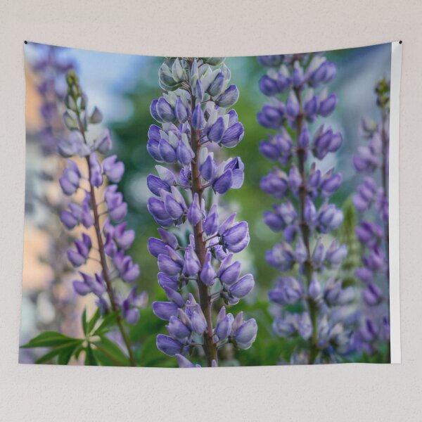 Artikelvorschau, Wilde Lupine entworfen und verkauft von LudaNayvelt.