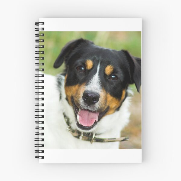Item preview, Gorgeous Dog designed and sold by risingstar.