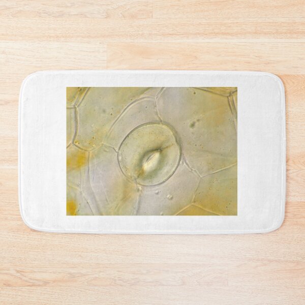 Item preview, Stoma on orchid petal under the microscope designed and sold by SDym Photography.