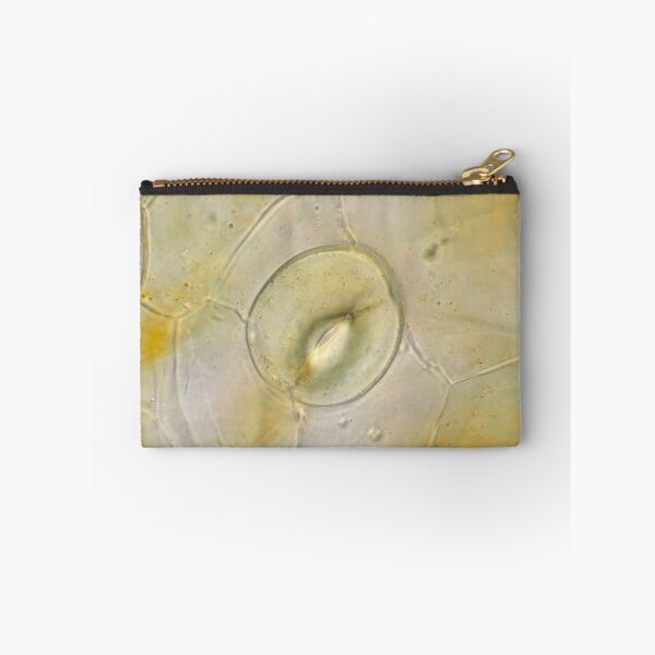 Item preview, Stoma on orchid petal under the microscope designed and sold by SDym Photography.